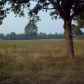 Lot 11 CR 3554, Clarksville, AR 72830 ID:1154622