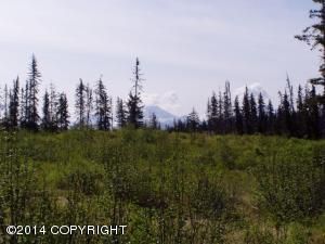 883 Goldberry Court, Homer, AK 99603