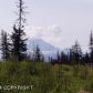 883 Goldberry Court, Homer, AK 99603 ID:7435279