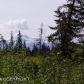 883 Goldberry Court, Homer, AK 99603 ID:7435280