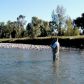 Lot 8 Gallatin River Preserve, Belgrade, MT 59714 ID:7459567