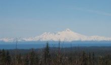 Tr 3 Forest Drive Homer, AK 99603