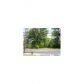 1223 South Main Street, Cedartown, GA 30125 ID:7137986