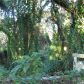 000Livingston ave, Lutz, FL 33559 ID:1017528