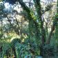 000Livingston ave, Lutz, FL 33559 ID:1017531