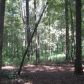 405 Hudson Martin Road, Ellijay, GA 30536 ID:7226595