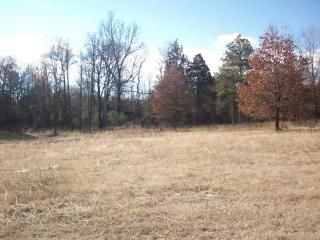 Lot #10, Rock Wall Heights, Clarksville, AR 72830