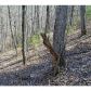 764 Nettle Lane, Ranger, GA 30734 ID:6665133
