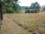 147 CR 535 Anderson, AL 35610