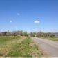 00 CO RD 636, Hanceville, AL 35077 ID:7461402