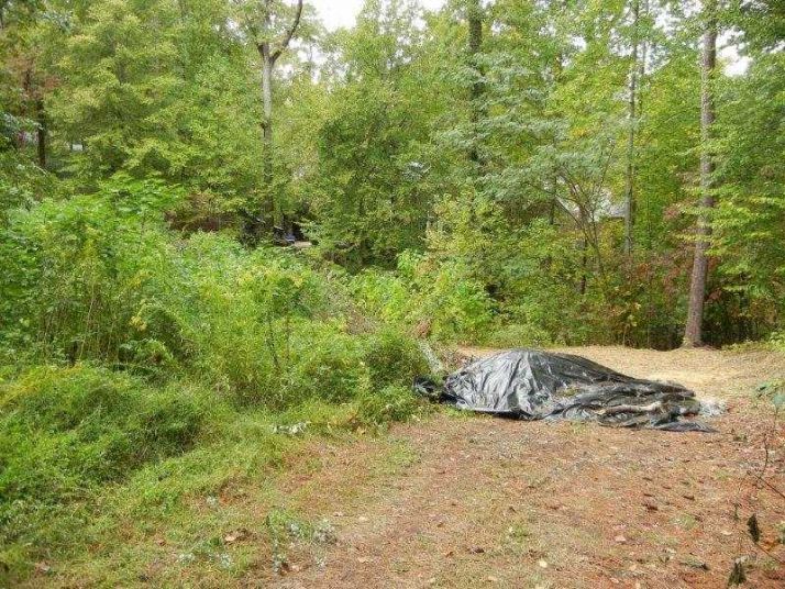 3620 Knollwood Drive, Atlanta, GA 30305