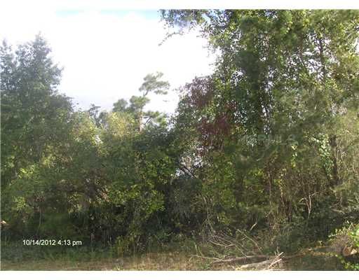 157 Sanford Avenue, Debary, FL 32713