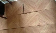 9550 SW 148 CR Miami, FL 33196