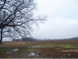 HWY 77, West Memphis, AR 72301