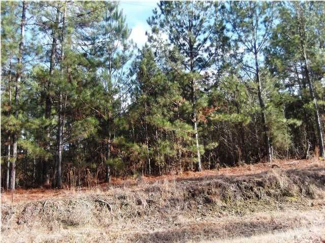 0 River Rd, Titus, AL 36080