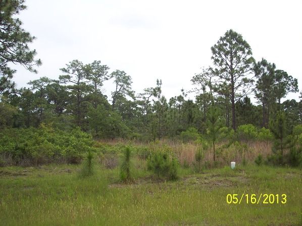 Lot 97 The Refuge At Panace, Panacea, FL 32346
