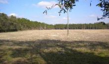 CR 137 & 37th Road (97 Acres) Branford, FL 32008