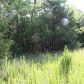 LTS 34 & 3 Marion County 2082, Lead Hill, AR 72644 ID:1850021
