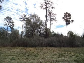 2 Tiger Hammock Road, Crawfordville, FL 32327