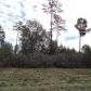 2 Tiger Hammock Road, Crawfordville, FL 32327 ID:7478246
