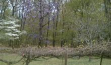 3529 Anvil Block Road Ellenwood, GA 30294
