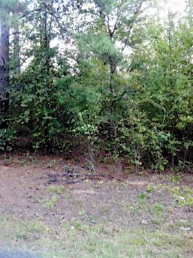 0 Dora Bush Hill Road, Carlton, GA 30627