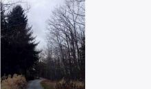 0 HENDON RD Graysville, TN 37338