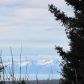 40880 KAY Court, Homer, AK 99603 ID:6887703
