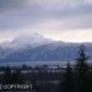 L1B Uminski Circle, Homer, AK 99603 ID:6888460