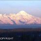 L2 Endless View Loop, Homer, AK 99603 ID:6886858