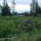 172 W Pioneer Avenue, Homer, AK 99603 ID:6889304