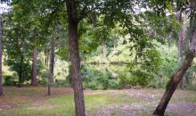 1975 SE Earl Blvd. Branford, FL 32008