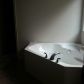 715 Hancock Place, Braselton, GA 30517 ID:7614168