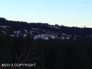 L9 Estate Drive, Homer, AK 99603