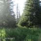 L3 Eagle Aerie, Homer, AK 99603 ID:6887020