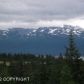 33041 Furrow Road, Homer, AK 99603 ID:6886740