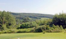 62 EVERGREEN DRIVE New Ringgold, PA 17960