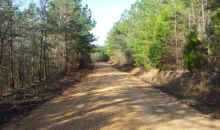 0 Olen Mills Rd Guin, AL 35563