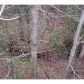 244 Ivy Ridge Drive, Jasper, GA 30143 ID:7065986