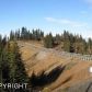 L16 Endless View Loop, Homer, AK 99603 ID:6886961