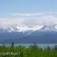52546 E End Road, Homer, AK 99603 ID:6887572