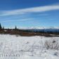 L1 Alpine Meadows Drive, Homer, AK 99603 ID:6888140