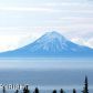 L7 Endless View Loop, Homer, AK 99603 ID:6887242
