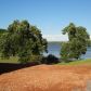 UNIT 1 MOON BAY, Kuttawa, KY 42055 ID:3096785