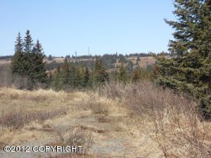 5745 Katie Jean Circle, Homer, AK 99603