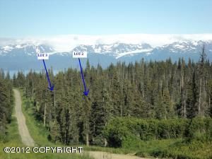 L2 Eagle Aerie, Homer, AK 99603