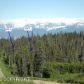L2 Eagle Aerie, Homer, AK 99603 ID:6887009