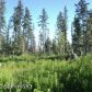 L2 Eagle Aerie, Homer, AK 99603 ID:6887010