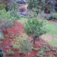 Unit 35 - 2672 Rivers Edge Drive Ne, Atlanta, GA 30324 ID:5817750