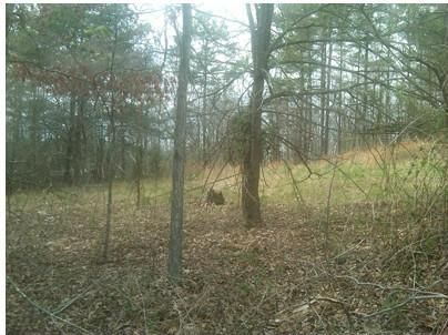 137 Galway Drive, Shannon, GA 30172